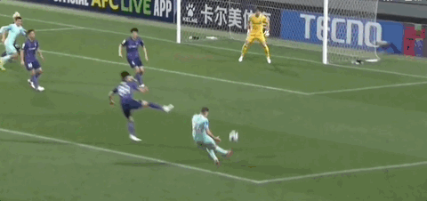 开云网页-广岛1-0柔佛总比分2-3遭淘汰,木下康介点射破门,阿里瓦斯中柱